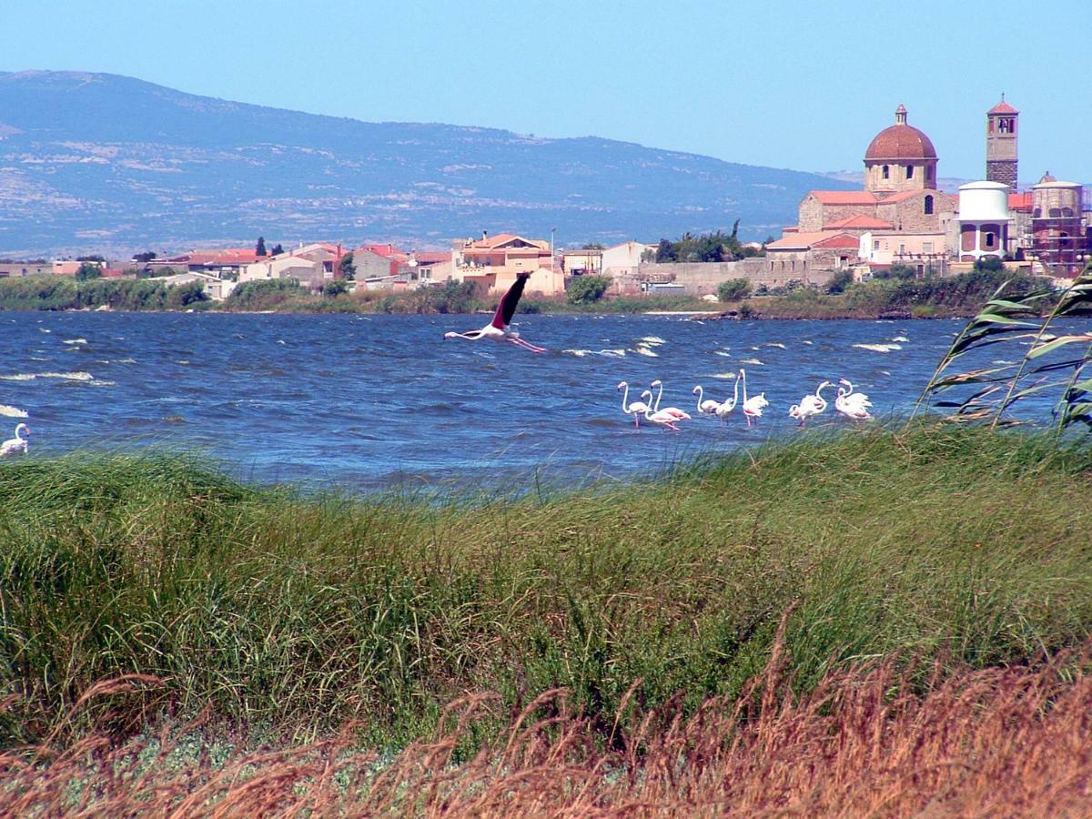 Agriturismo Sa Ruda Càbras المظهر الخارجي الصورة