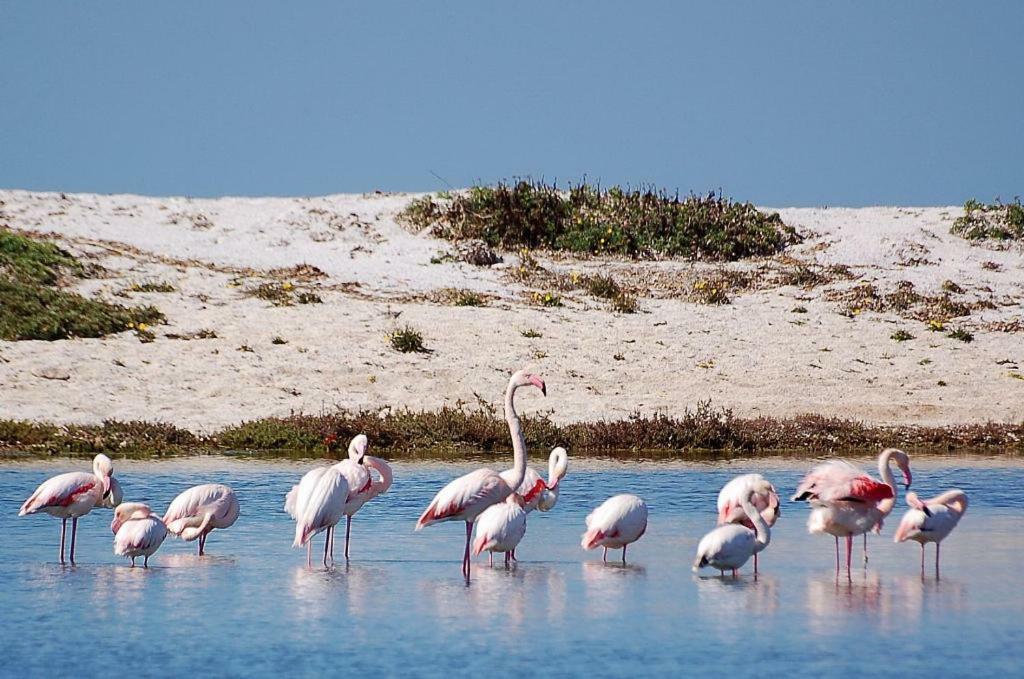 Agriturismo Sa Ruda Càbras المظهر الخارجي الصورة