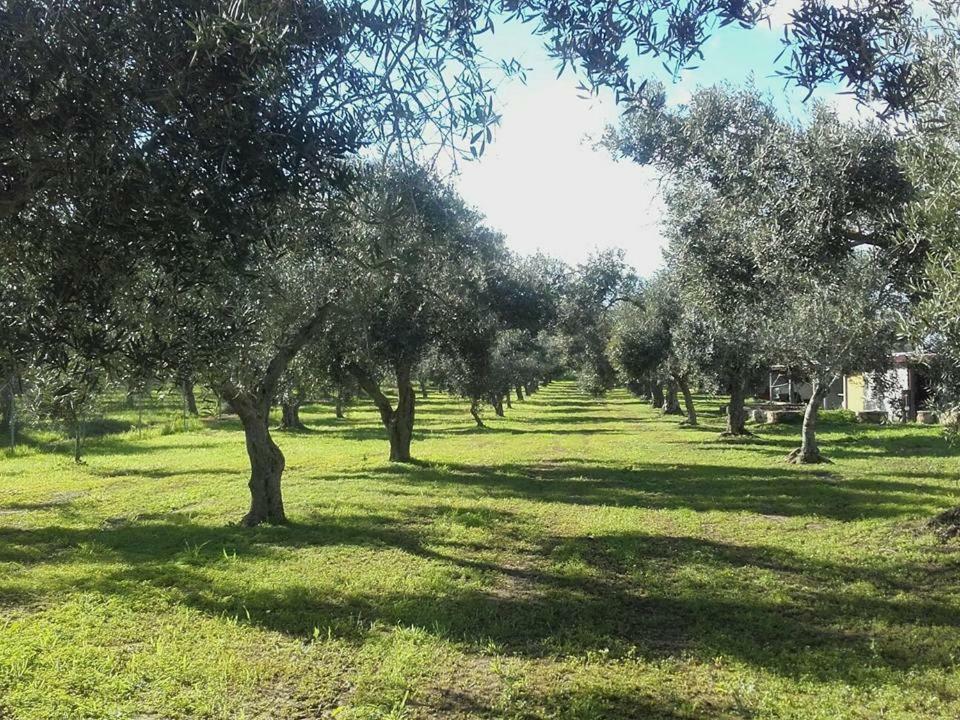 Agriturismo Sa Ruda Càbras المظهر الخارجي الصورة