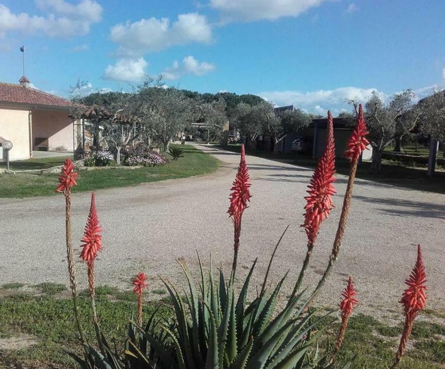 Agriturismo Sa Ruda Càbras المظهر الخارجي الصورة