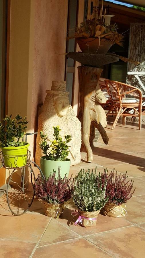 Agriturismo Sa Ruda Càbras المظهر الخارجي الصورة