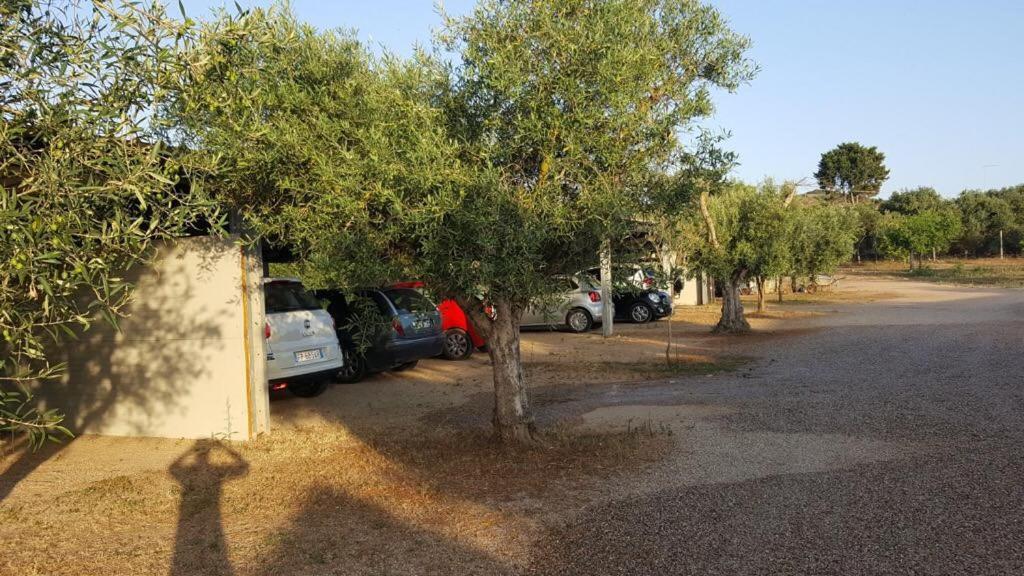 Agriturismo Sa Ruda Càbras المظهر الخارجي الصورة